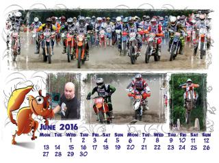 Шустрая Белка 2016
