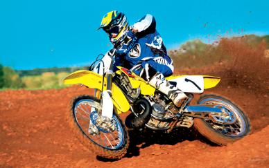 Suzuki RM250