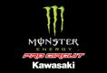 Официальная графика на мотоцикл от команды PRO CIRCUIT KAWASAKI 