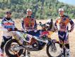 Дакар 2014: KTM 450 Rally MY14 (фото+видео)