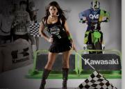 Каталог -  Kawasaki Collection 2014.